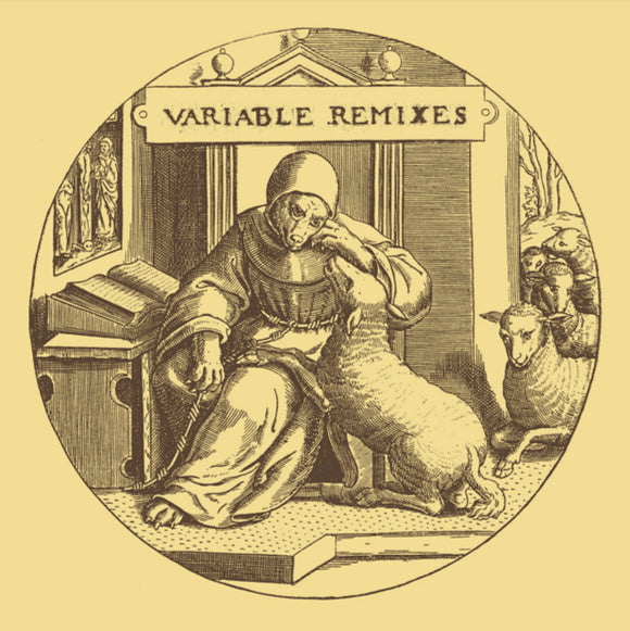 Various | Variable Remixes (12