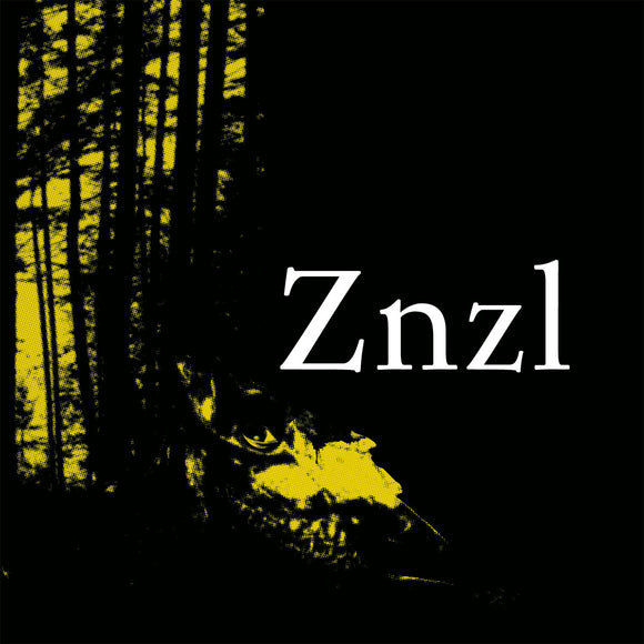 Znzl | Gaze Upon (12