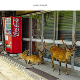 Vainio & Vigroux | Peau Froide, Léger Soleil (2LP) [AES007]