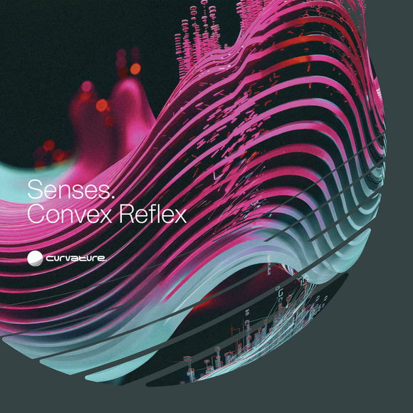 Senses | Convex Reflex (12