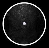 Notzing | Resomnarium (12") [ELIXIR11]