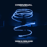 Dom & Roland | Burn Bright / Being (12") [IDV001]