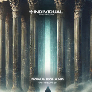 Dom & Roland | Pantheon EP (12") [IDV006]