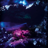 Stenny | Sharp Fragments (2LP) [ITLP23]