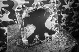 Dalibor Cruz | Pathos Peristaltica (LP) [NF02]