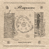 Rapoon | Raising Earthly Spirits (2LP) [VOX71LP]